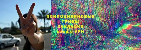 ГАЛЛЮЦИНОГЕННЫЕ ГРИБЫ Абдулино